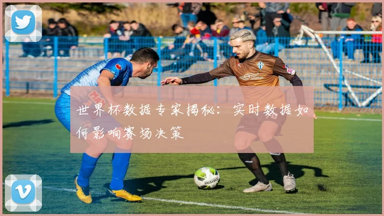 世界杯数据专家揭秘：实时数据如何影响赛场决策