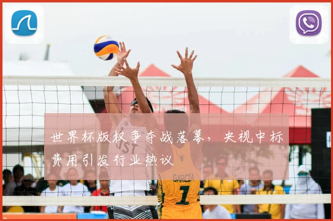世界杯版权争夺战落幕，央视中标费用引发行业热议