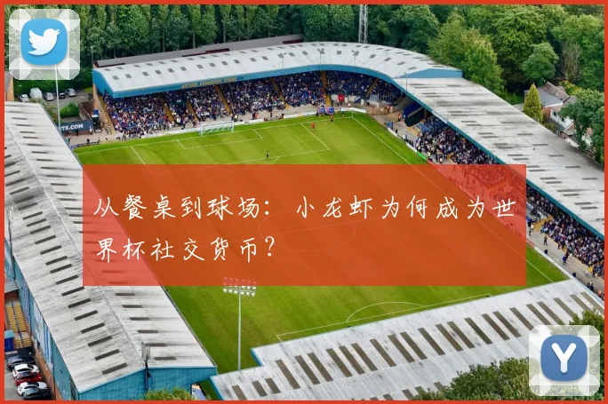 从餐桌到球场：小龙虾为何成为世界杯社交货币？