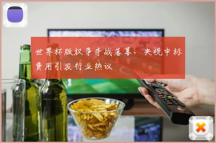 世界杯版权争夺战落幕，央视中标费用引发行业热议
